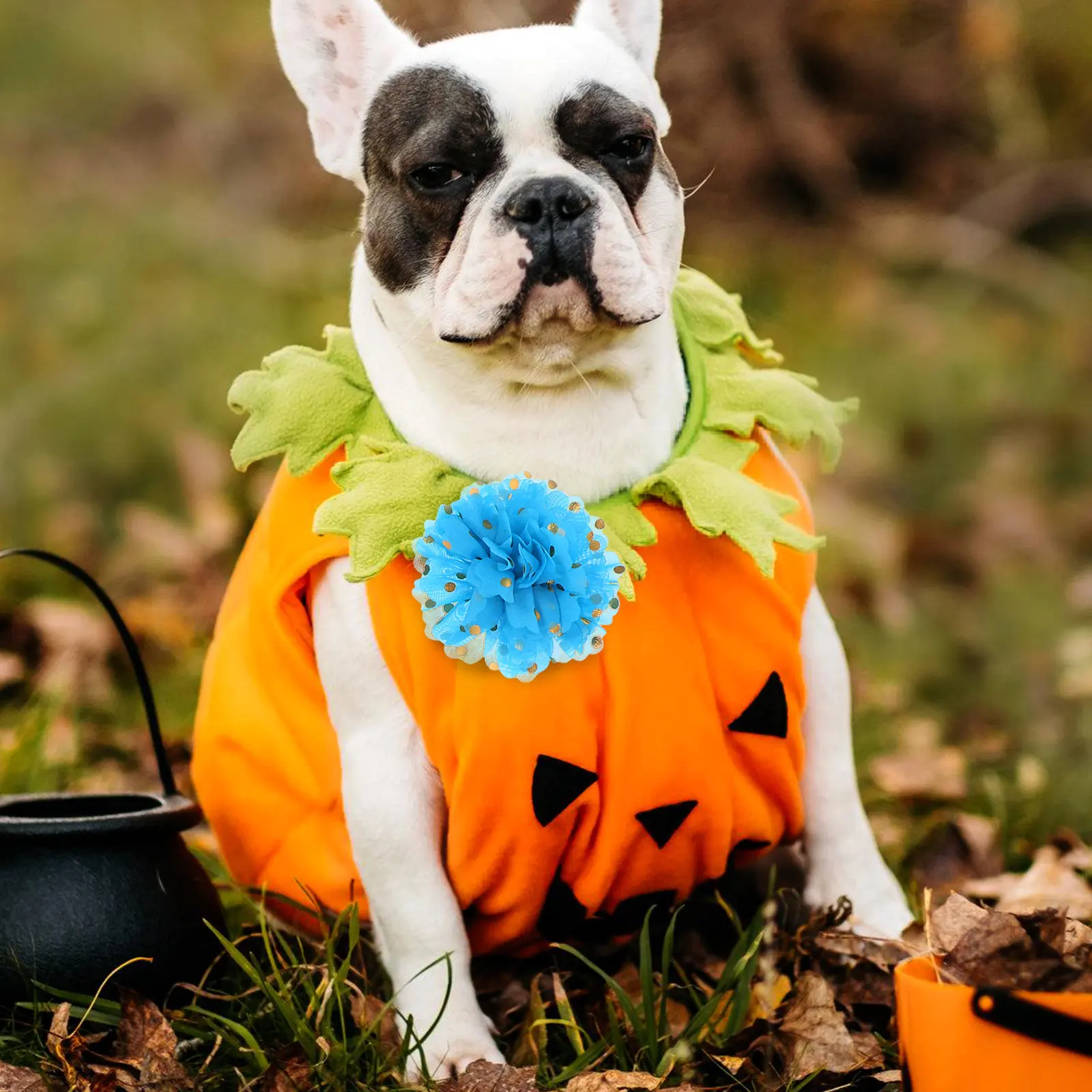10 piezas de flores de tela para collares de mascotas, adornos florales para collares de perros y gatos, decoración elegante y cómoda para paseos diarios y bodas.
