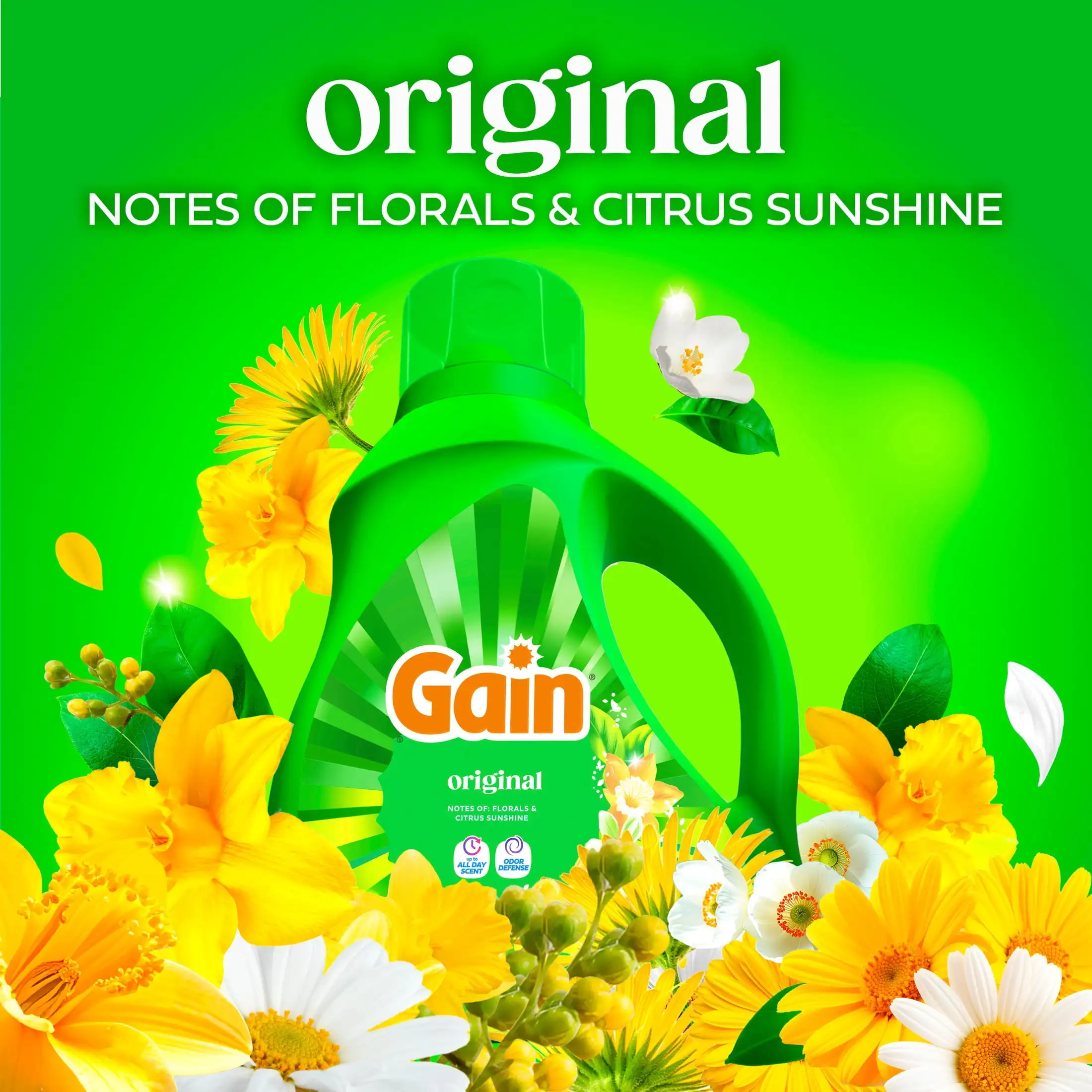 Laundry Detergent Liquid, Now with Odor Defense, Original Scent, 39 fl oz, 29 Loads
