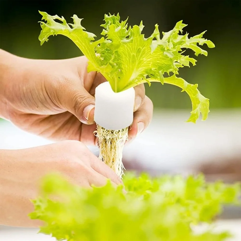 For Plant Propagation Sponges 100 pcs 32 x 30 mm High Density PU Foam for Water Based Indoor Gardening Projects