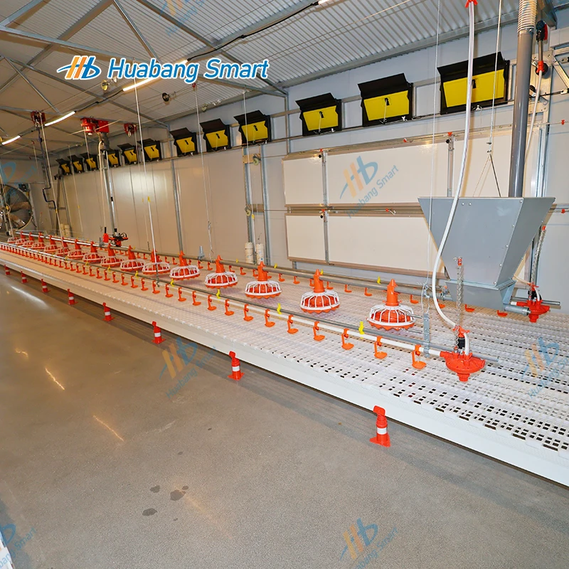 نظام مغذيات معدات تغذية الدواجن الأوتوماتيكية المعلقة وشرب الماء مع أكواب المشروبات