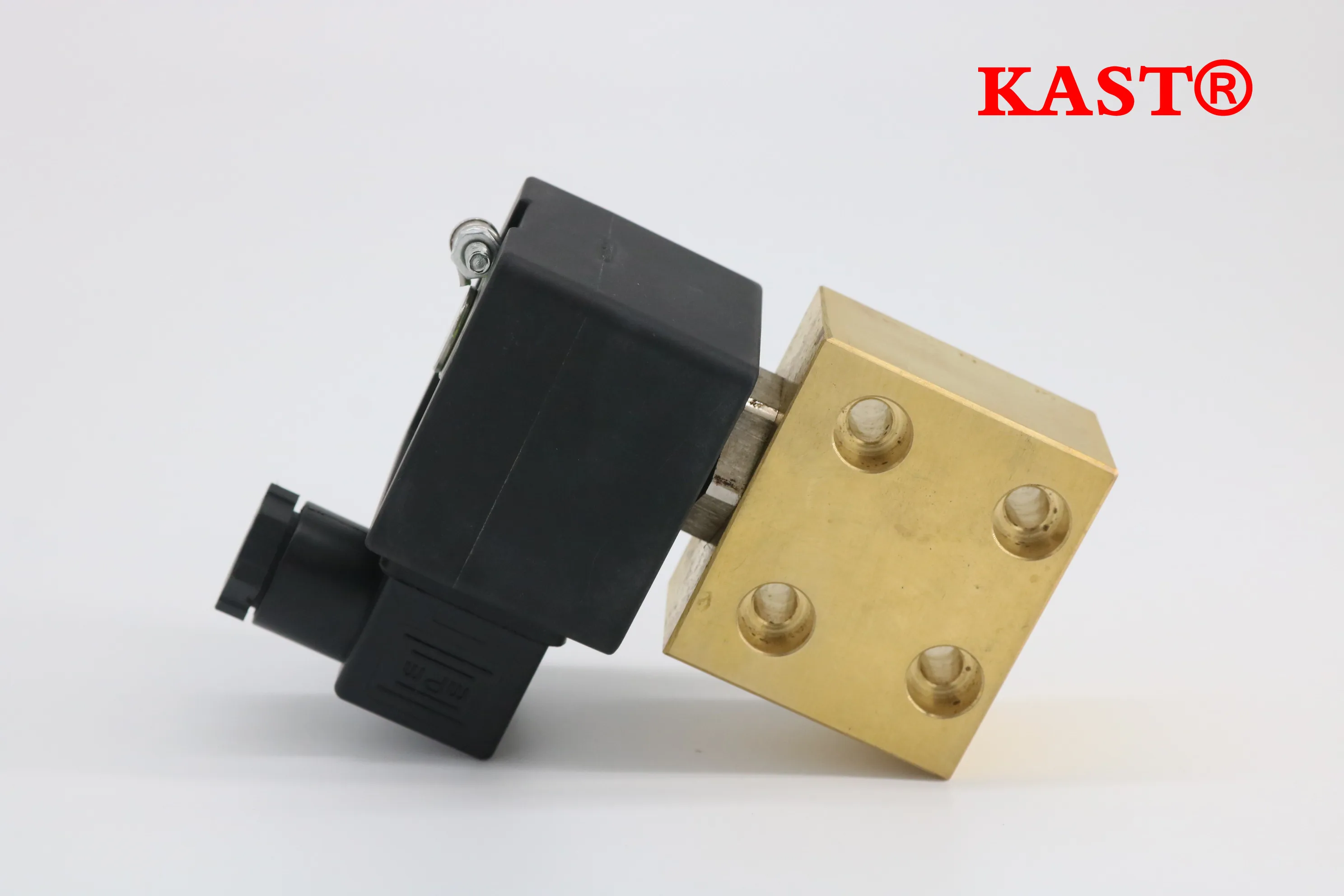 Suku Cadang Kompresor Udara TLF 1089059024 Katup Pembuangan Katup Blow Off Inch 110v dengan Katup Solenoid