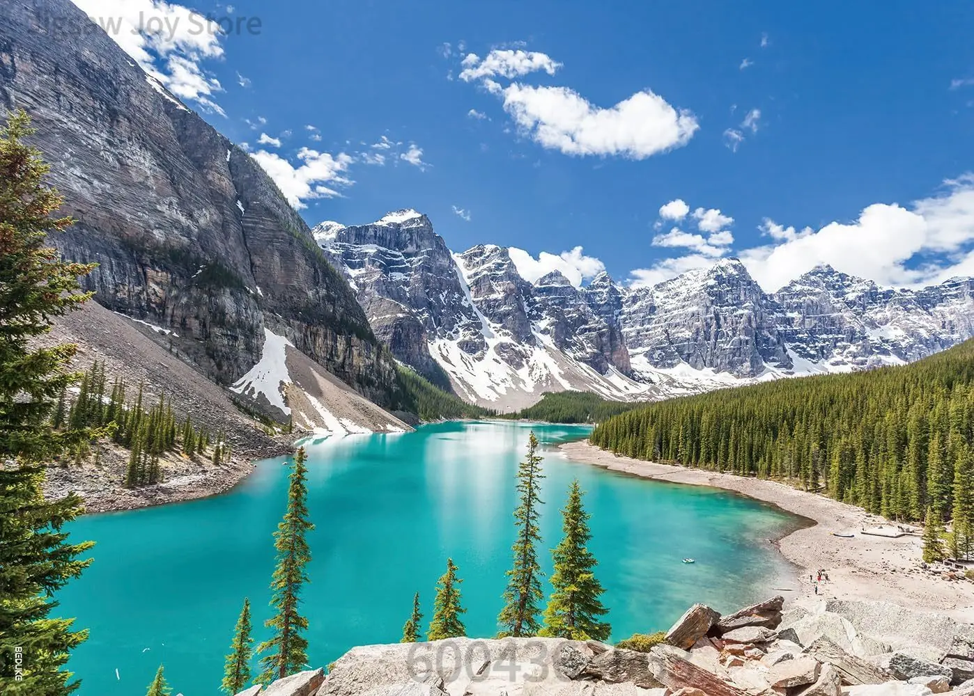 Art Jigsaw Puzzle Gift, Succulent Cactus Desert, Banff Moraine Lake, Forest RV Camping, Fantasy Life Tree, 500-2000Pcs