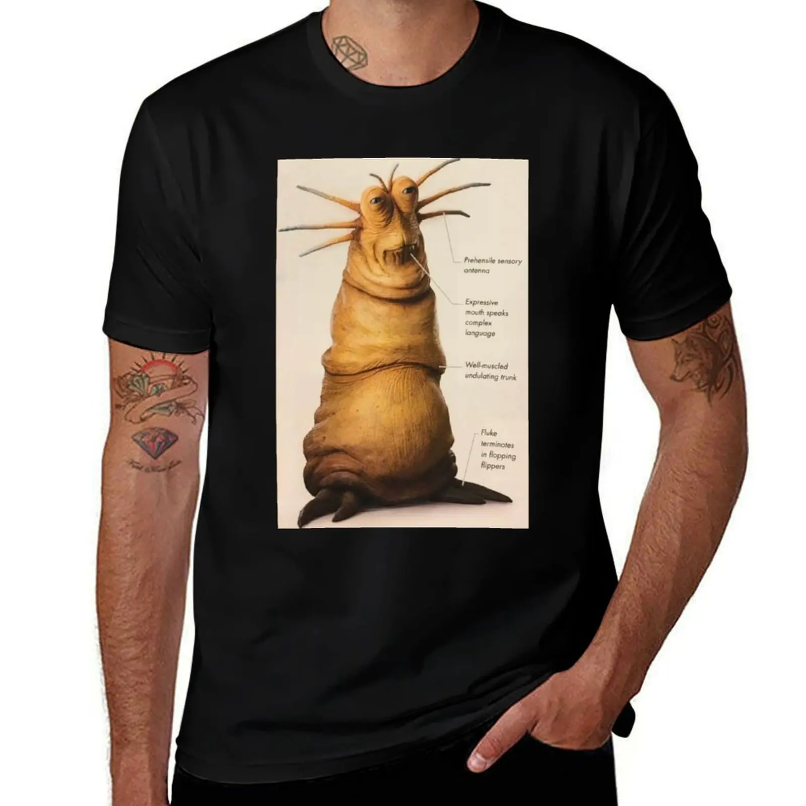 Klaude T-Shirts auf AliExpress: Stil, Vielfalt und Qualität für jeden Geschmack