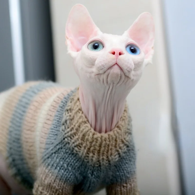 

Sphinx hairless cat clothes cashmere kitten sweater soft cat sweater