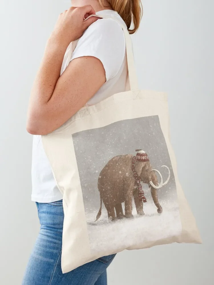 The Ice Age Sucked Tote Bag shopper bags for women Eco bag Tote Bag