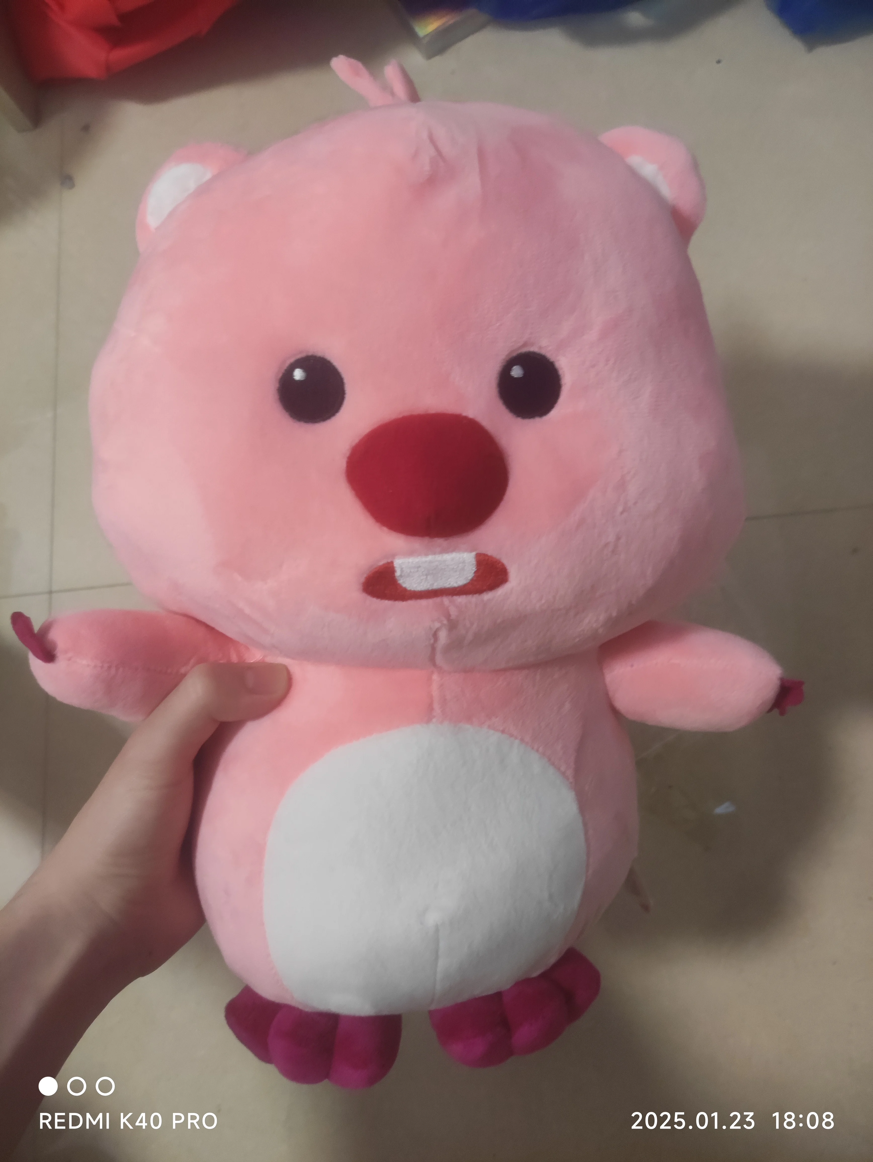 30 cm Loopy Youyou Original Anime dessin animé en peluche petit castor Rock Animal série Kawaii mignon en peluche poupée semblant enfants cadeau jouets