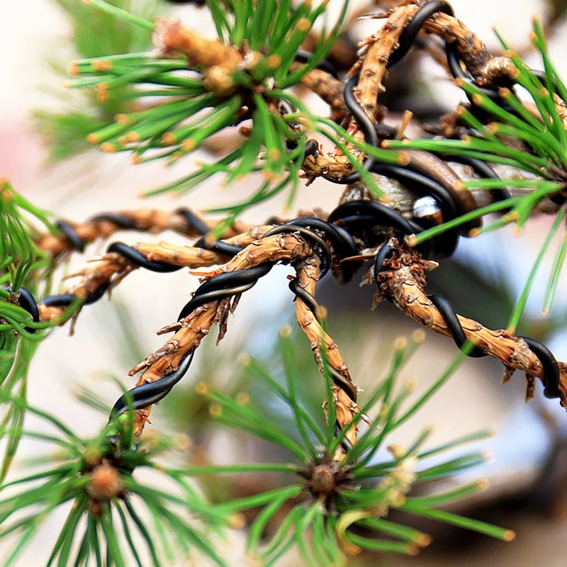 Bonsai Formowanie Linia z drutu aluminiowego Ręcznie robione Diy Oxidized Color Wires Studenci Praca Kształty roślin Akcesoria ogrodowe Artware