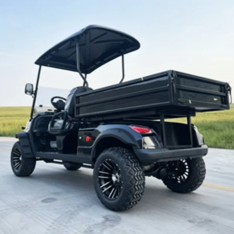 Golf Cart 5KW Street Legal 60V 72V Lithium Powered Hunting 2 Seater Electric Golf Cart Bumper Off-Road Tires Rear Cargo Box