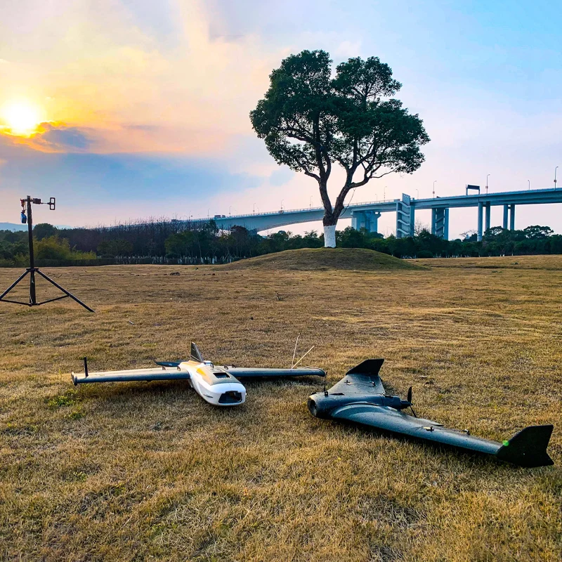 LTE Royal Cat Rambler Rs 1000mm Wingspan High-Performance Large Space Delta Wing Fixed Wing Fpv Carrier Rc Model Aircraft