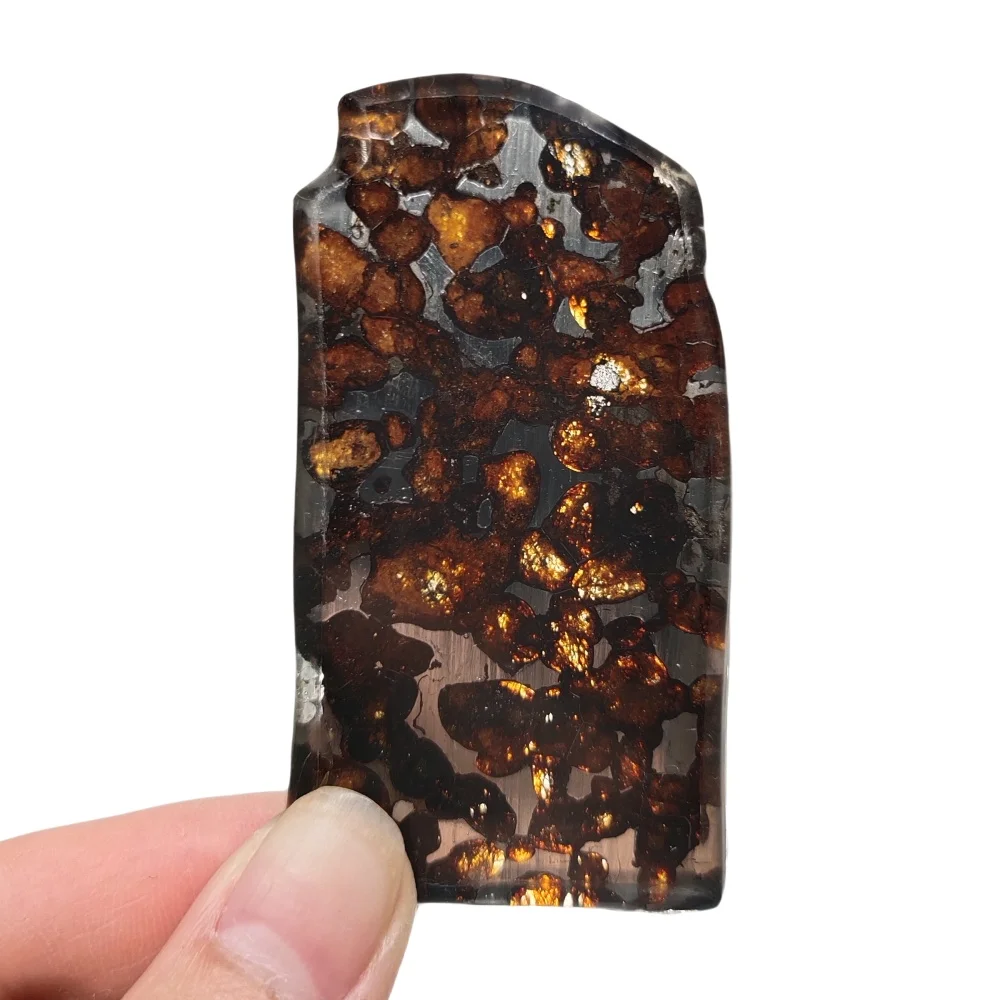 26.5g Sericho Pallastie meteorite slice Olivine Meteorite Natural Specimen Meteorite material Collection - from Kenya -QA460