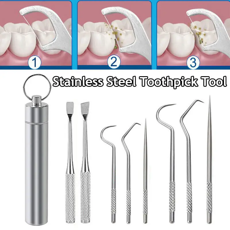 9 stücke Zahnstocher Set Metall Edelstahl Oral Reinigung Zahn Zahnseide Tragbare Zahnstocher Zahnseide Zähne Reiniger Mit Lagerung Rohr