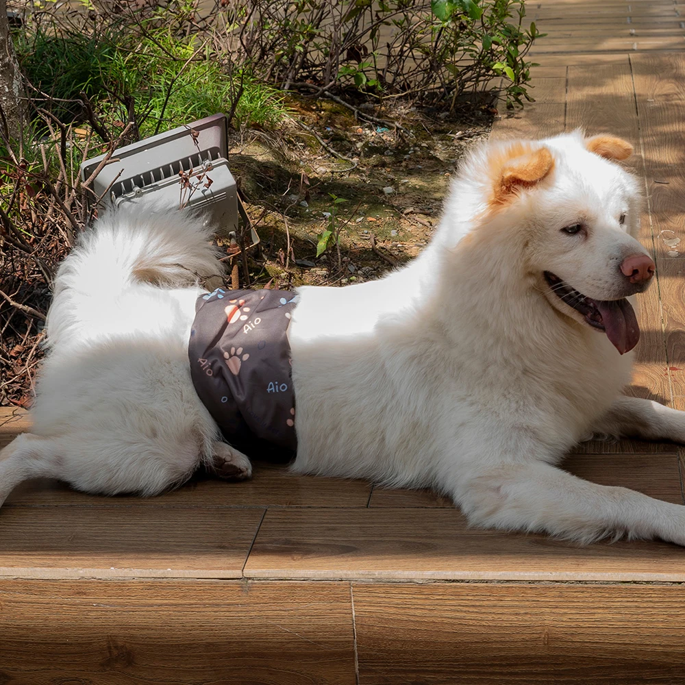 3PCS Langlebige Waschbare Männliche Hund Windel Wraps Haustier Junge Hund Tuch Windeln Wiederverwendbare Haustier Doggy Unterwäsche Hosen für Männliche hund Leine