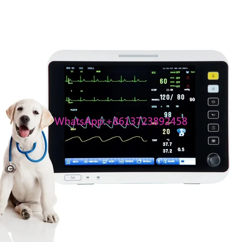 

Hot Sale Veterinary Medical Device Multiparameter for Veterinary Clinic