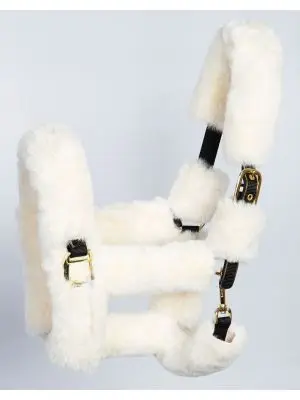 رسن الحصان والرأس، معدات ركوب الخيل بياقة رأس الخيل #5