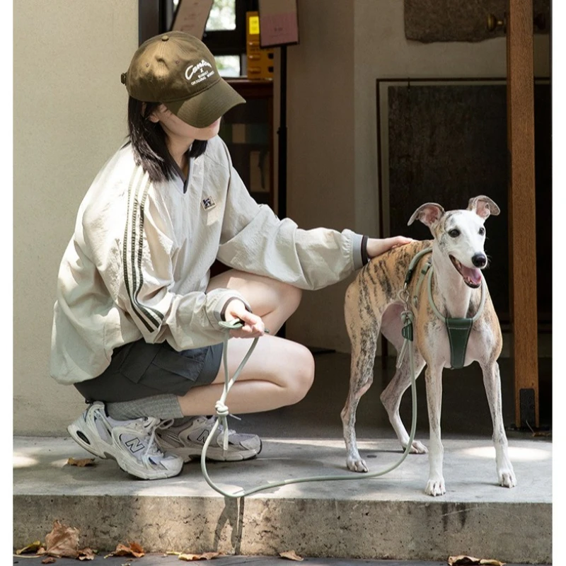 

Leather Round Rope Dog Harness, Adjustable Escape-Proof Vest for Small Medium Dogs, Lightweight with Metal Buckle