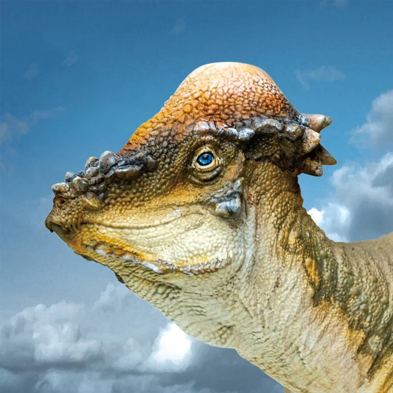 

Подлинный динозавр King Pachycephalosaurus Growth Companion Model46 Фигурка Декоративный орнамент Коллекционная игрушка для детей
