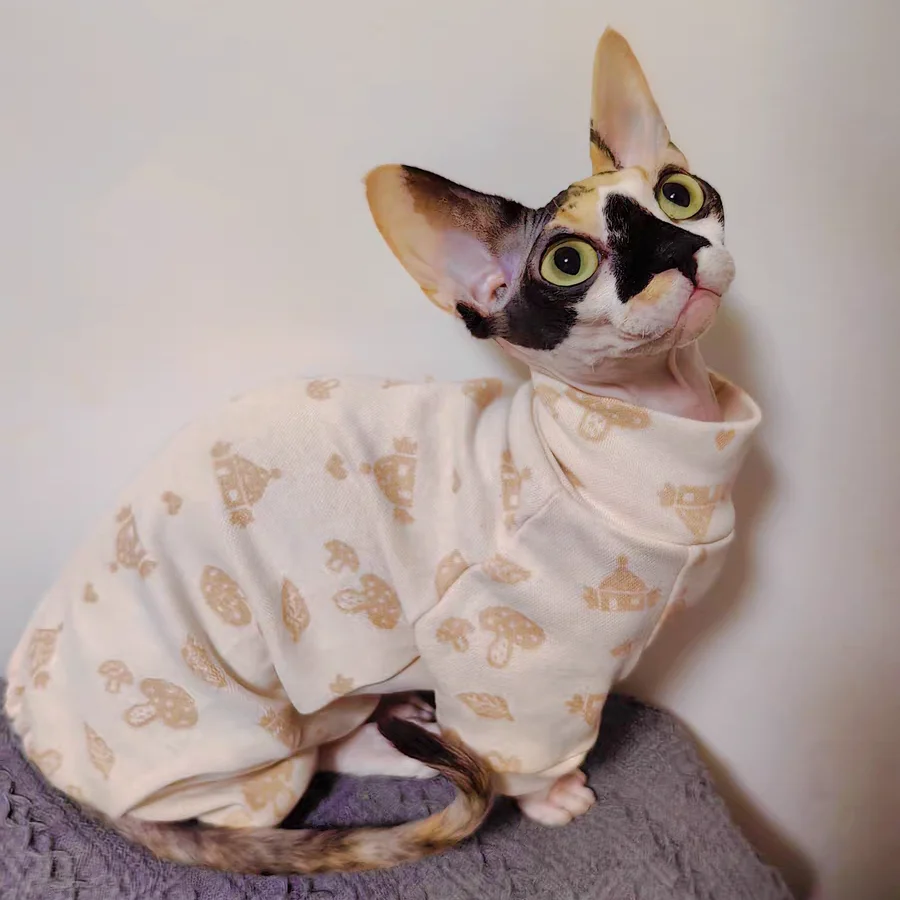 Sphynx Cat Cotton Coat in Spring Autumn Soft Beige Cartoon Long Sleeves T-Shirt for Kittens Loungewear elestic For Devon Rex