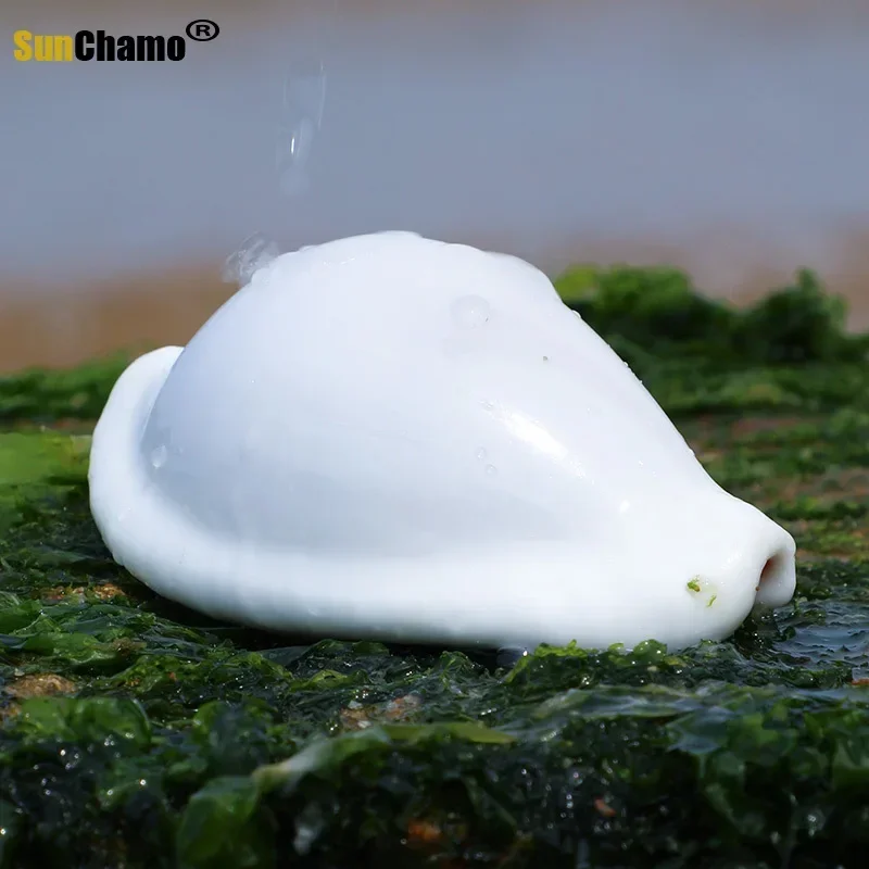 12 pz/lotto coniglio bianco conchiglia conchiglie naturali acquario decorazione della casa pavimento di nozze pasta da parete micro-paesaggio