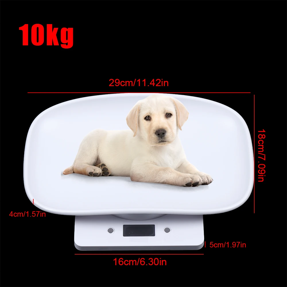 Scale 10kg