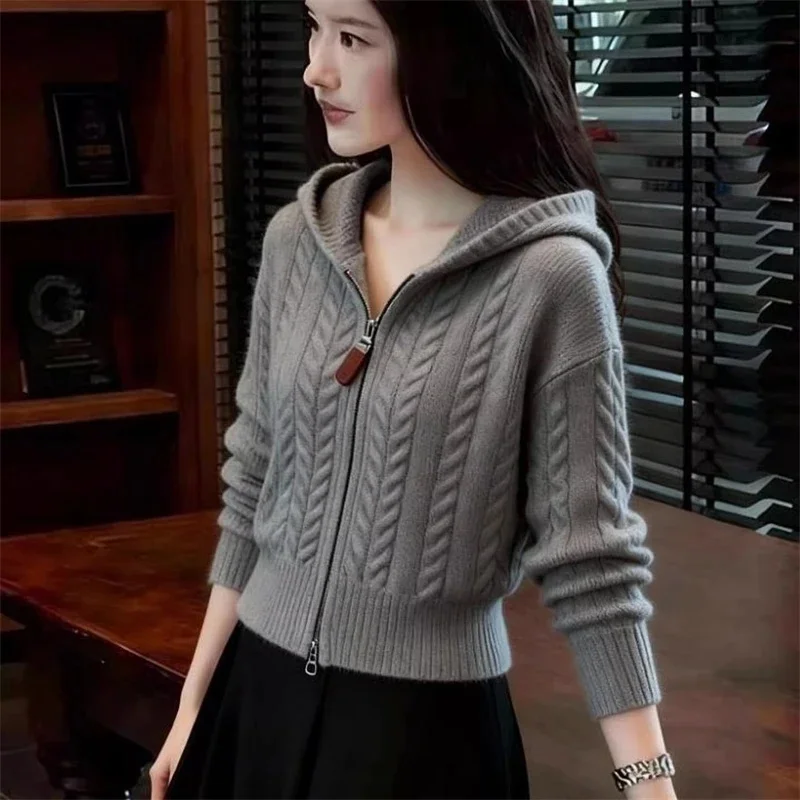 

Women's Fashion Knitted Zipper Hooded Cardigan Sweater Jackets Spring Autumn Winter Korean Style Twist Sweater Cardigans Clothes
