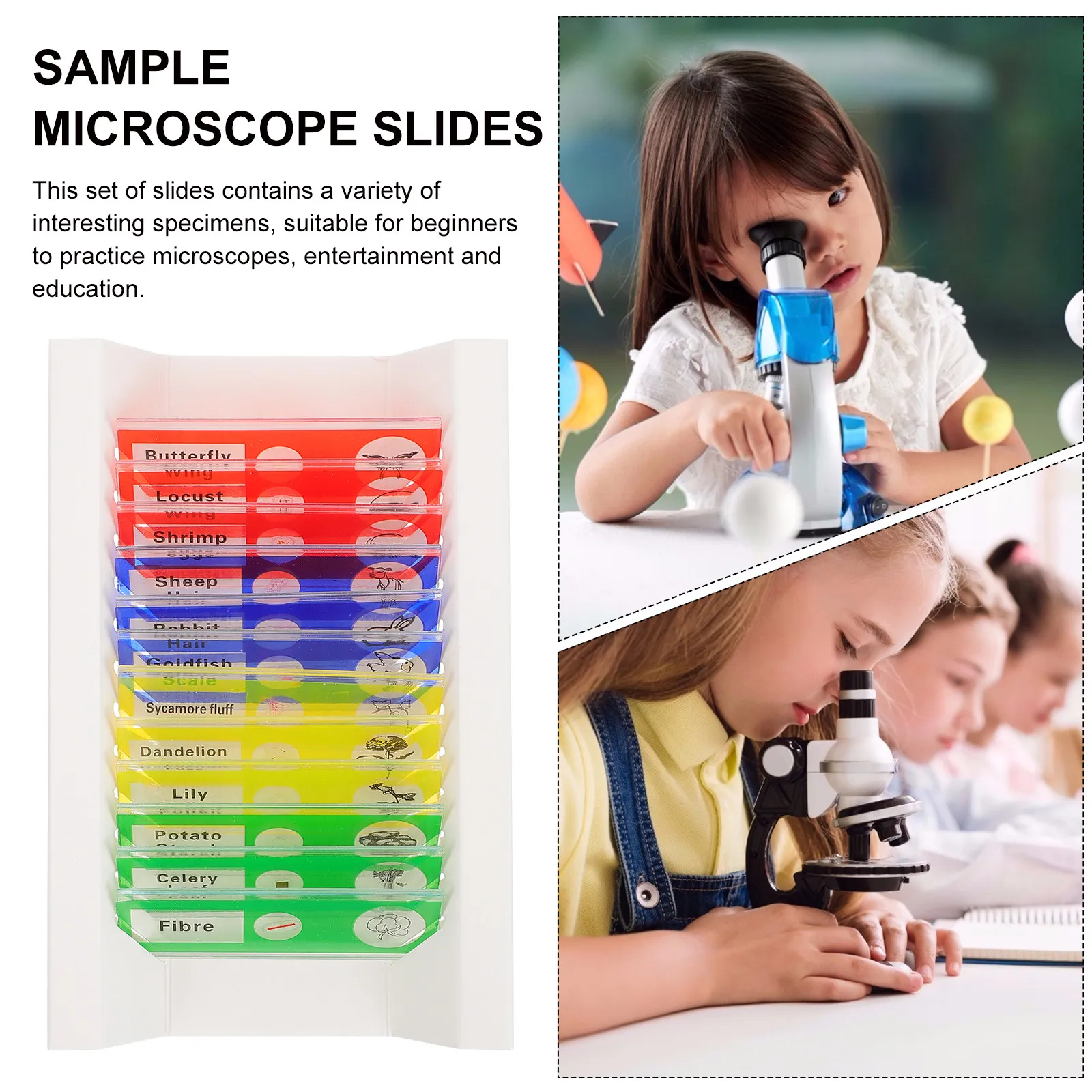 

Набор из 36 предметов: Прозрачные пластиковые готовые биологические предметные стекла для микроскопа для детей, коллекция образцов растений, животных и насекомых