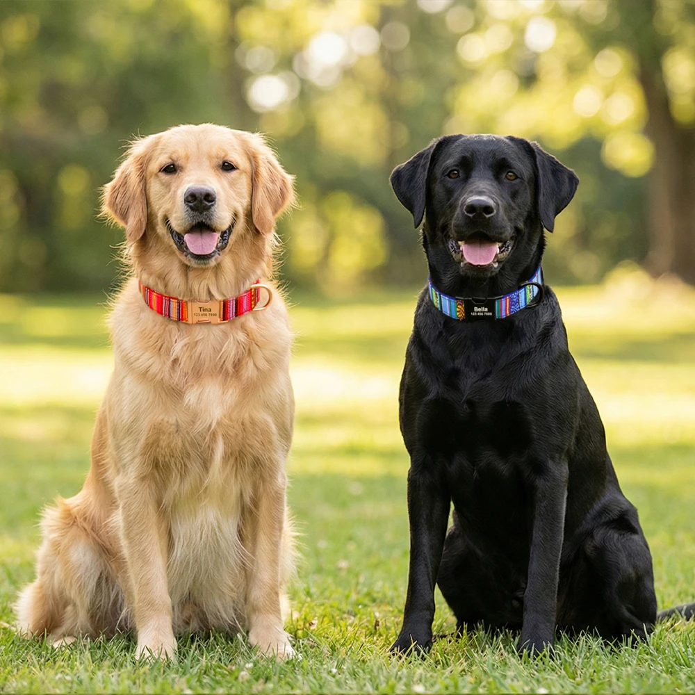 Individuelles Hundehalsband aus Nylon, Kostenlos Graviertes Haustier-ID-Halsband mit Namensschild, Verstellbare Schnalle für Kleine, Mittlere und Große Hunde – Detail 17