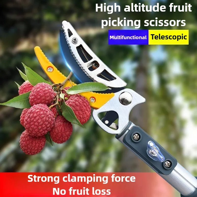 Height Telescopic Fruit Picker Loquat Berry High Tree Fruit Collector Picking Tool Multifunction Collect Picker Garden Supplies