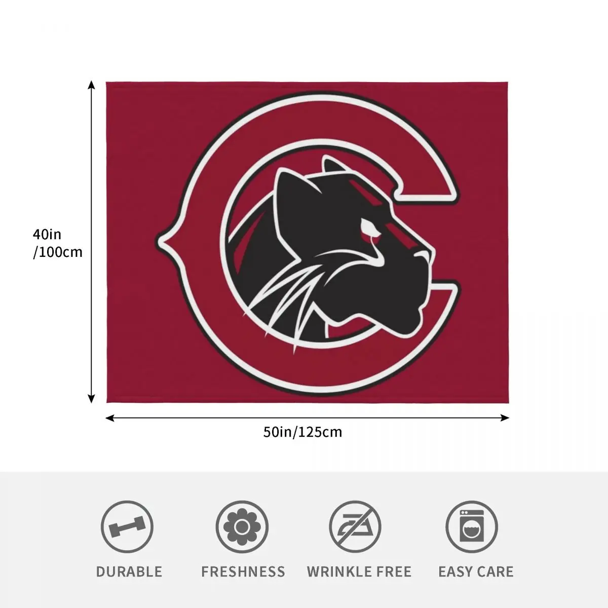 بطانية رمي The Chapman Panthers، أغطية سرير القيلولة أثناء السفر، بطانيات فضفاضة #4