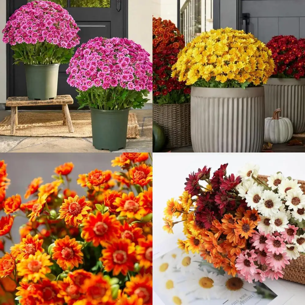 

Устойчивые к ультрафиолетовому излучению, водонепроницаемые и ветрозащитные искусственные баметы для уличных горшков: осенние цветы на закате