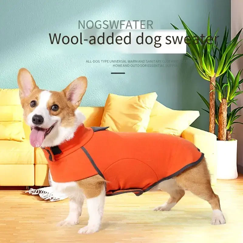 

Fashion Autumn and Winter Colorful Dog Clothes Corgi Fighting Clothes Turtleneck Fleece Sweatshirt Comfortable Warm Pet Products
