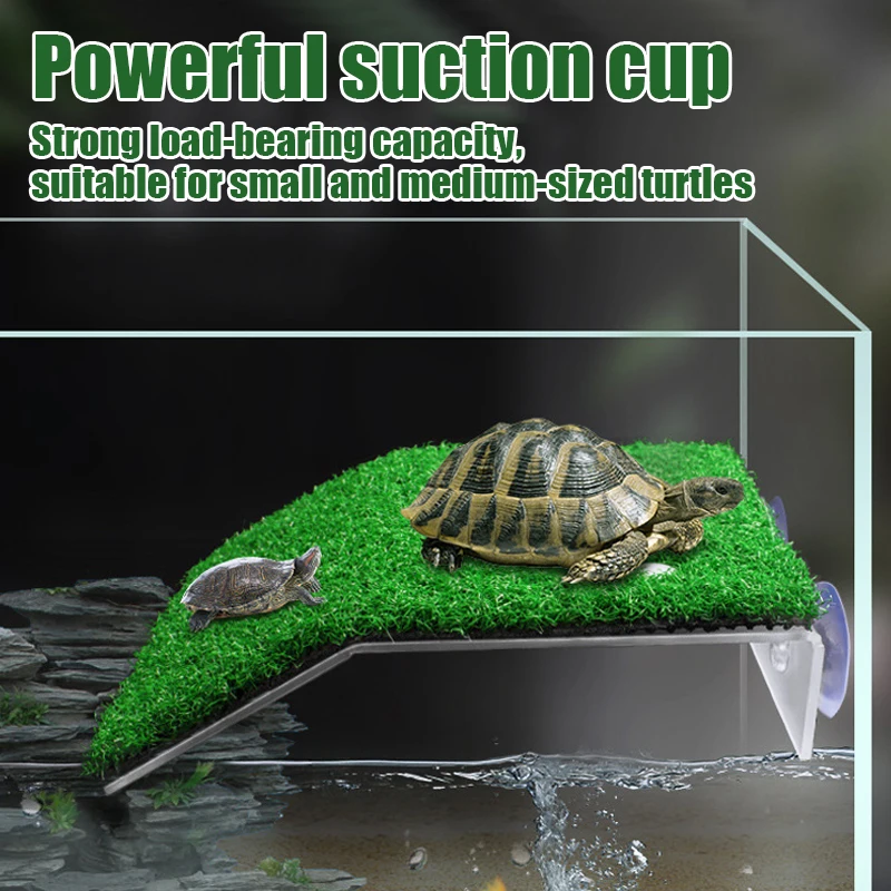 S/M/L Size Turtle Platform Flo - Aquarium Innovative Marine recension och pris