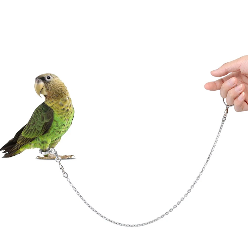 

Stainless Steel Leg Rings Bird Safety Outdoor Harness Flying Leash Escape Prevention Ankle
