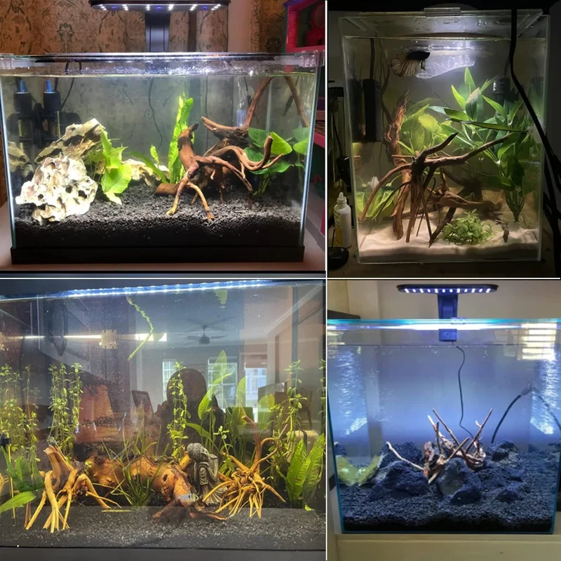 4 STUKS Natuurlijke Houten Aqu - Planted Aquarium With Driftwood recensie en prijs
