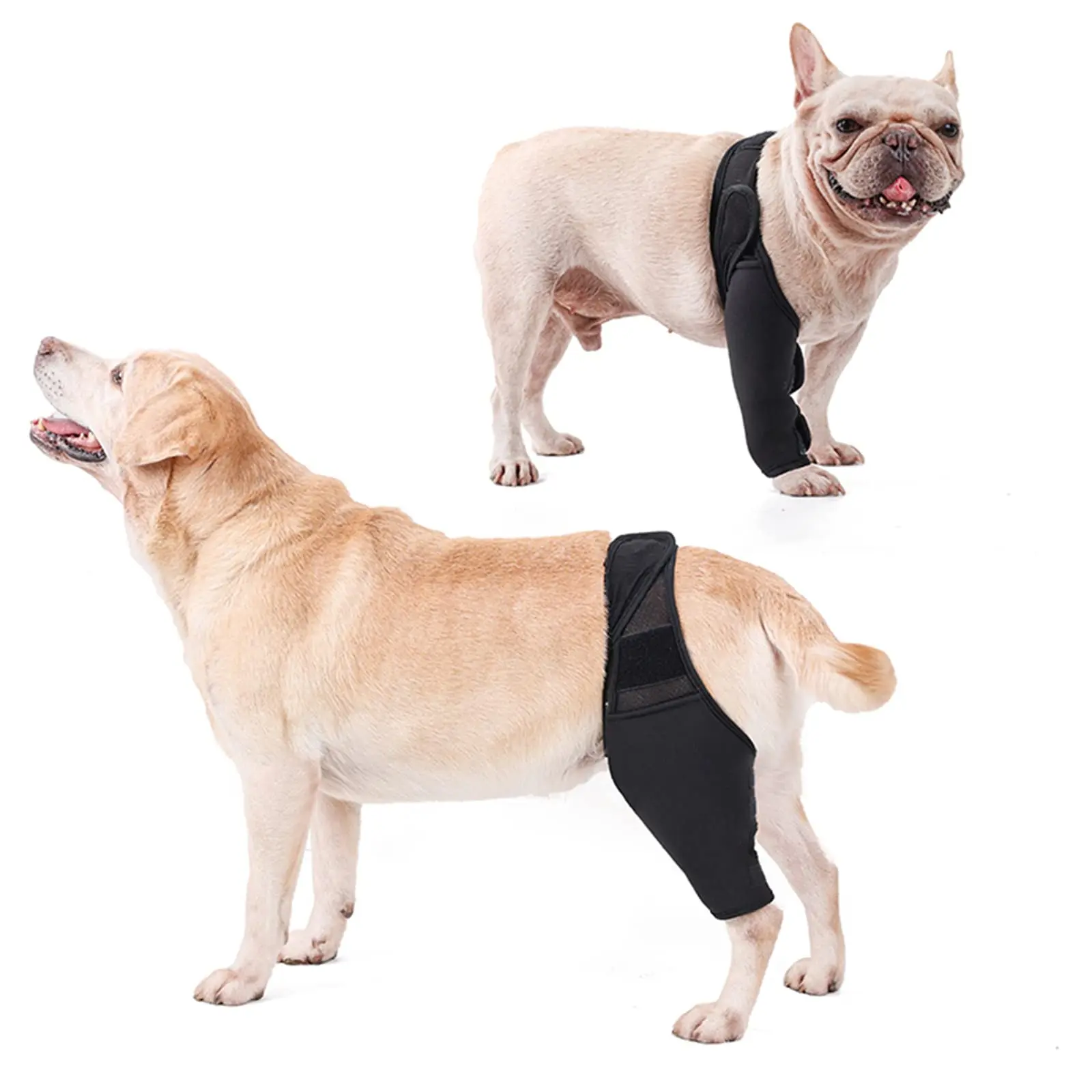 

Dog Knee Brace Hind Leg ACL Support Adjustable Joint Wrap for Dogs