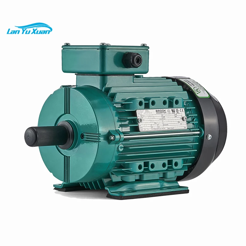 Brook Crompton pump motor S20 AC three phase Motor