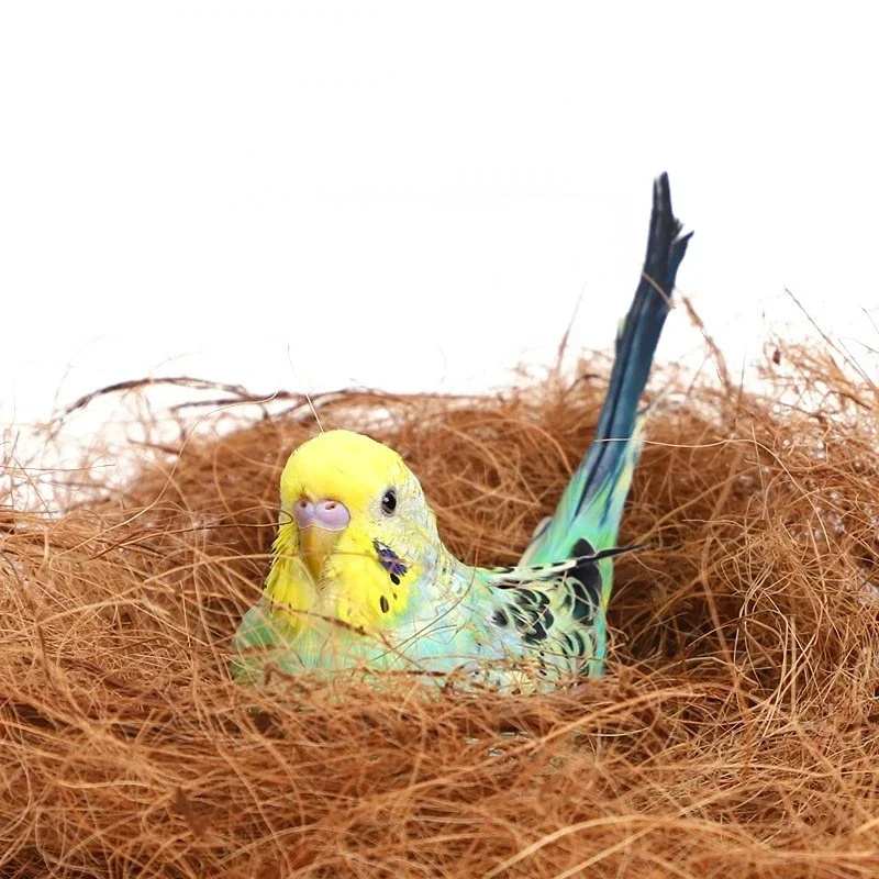 Material de Nido de Fibra de Coco de 100/200 g, Fibra para Nidos de Aves, Canarios, Pinzones, Relleno para Jaulas de Aves, Accesorios para Jaulas