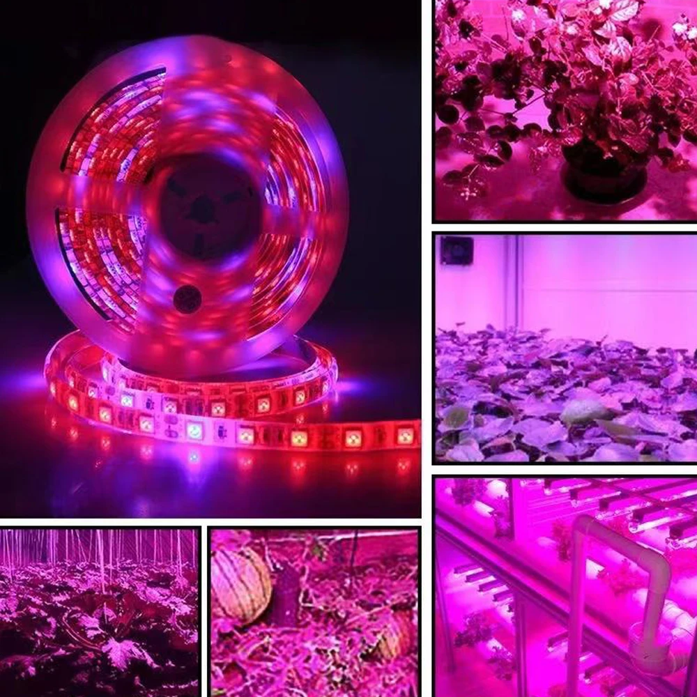 20M LED Grow Light Spectrum DC12V USB Grow Light Strip LED Phyto Lamp For Plants Greenhouse Hydroponic Growing power supply Full