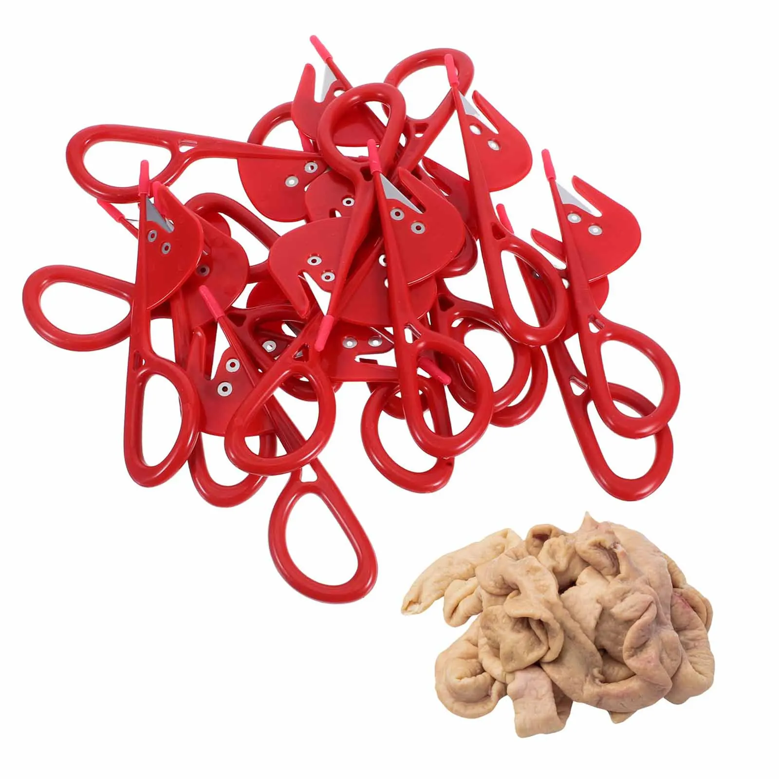 

20pcs Stainless Steel Poultry Intestine Knives Premium Abs Intestine Cleaning Tools Kitchen Gadget Efficient Small Size