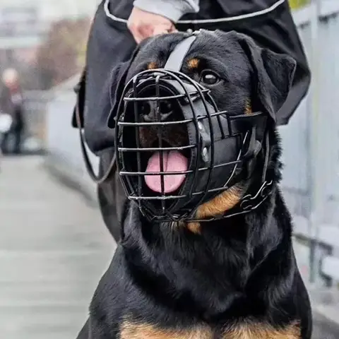 Muselière en métal à impact tactique pour chien, masque de cage de bouche d'entraînement pour chien de compagnie Anti-morsure pour chien renifleur berger allemand Doberman Rottweiler