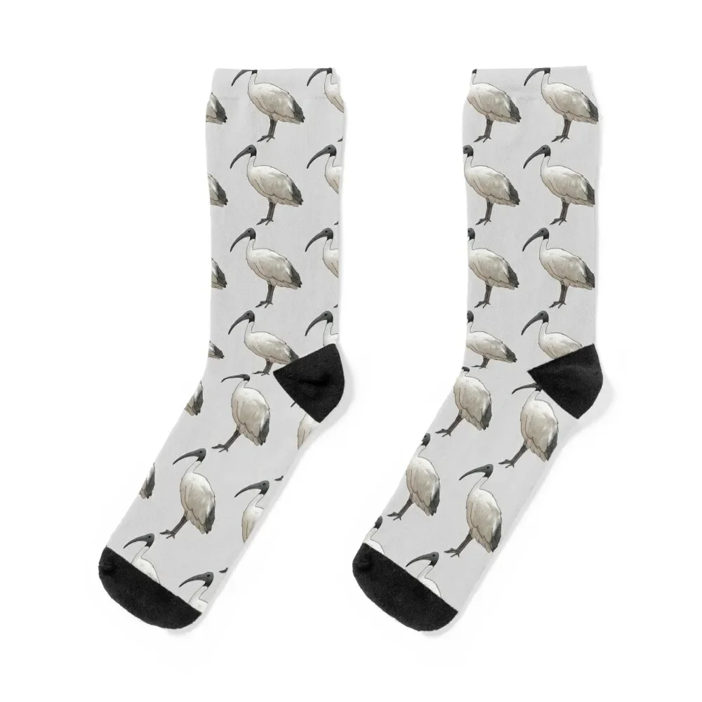 Bin Chicken Socks cartoon short FASHION Socks Men Women's