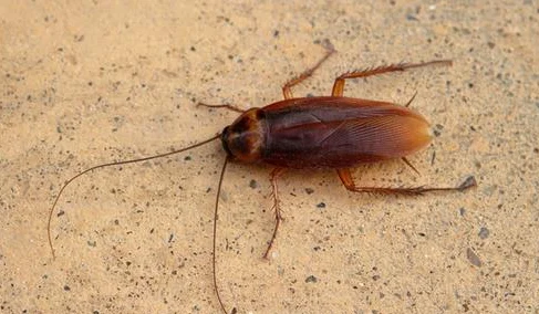 

1/18 1/24 RC Car Speed Bump Traffic Signs Roadblock Decoration for TRX4M Axial SCX24 FCX24 1:18 1:24 RC Crawler Car Parts