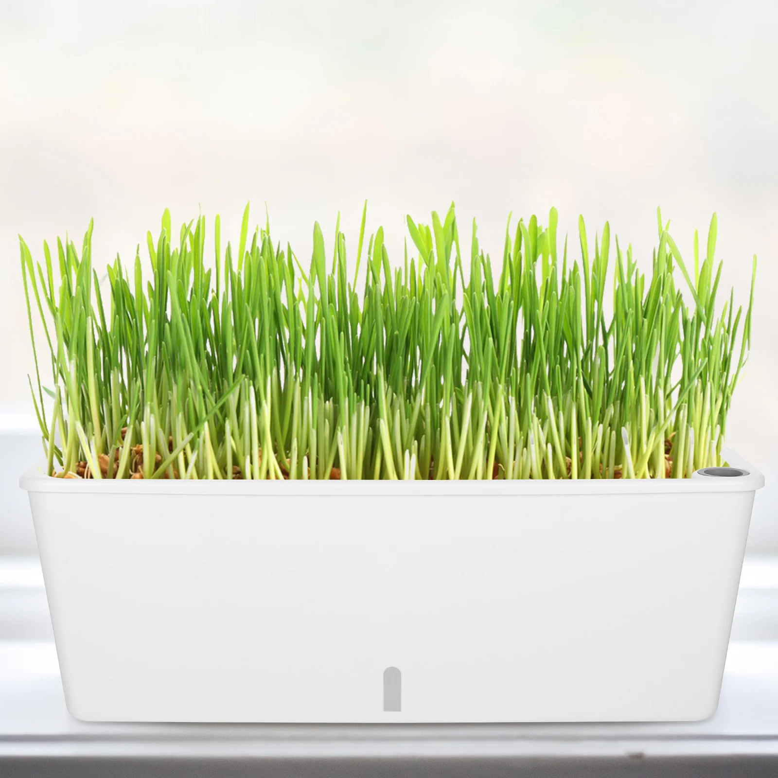 

Балконный узкий самополивный кашпо с дренажным отверстием для комнатных и уличных растений, овощных цветов, подоконника, цветочного горшка