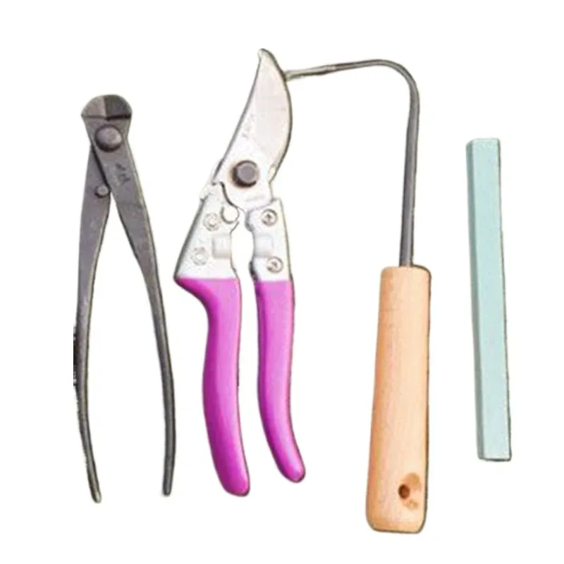 10Pcs Bonsai Tool Set Garden Pruning Tools Storage Bag Professional Pruning Scissors Canvas Tool Kit Multi Functional Hand Tools