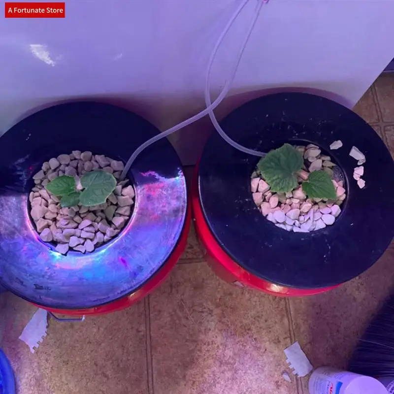 

6-дюймовый сетчатый горшок для 5 галлонов для BUCKET с широкими крышками (5 упаковок) сетчатые чашки для гидропоники Buck, корзина DWC Li-A78G