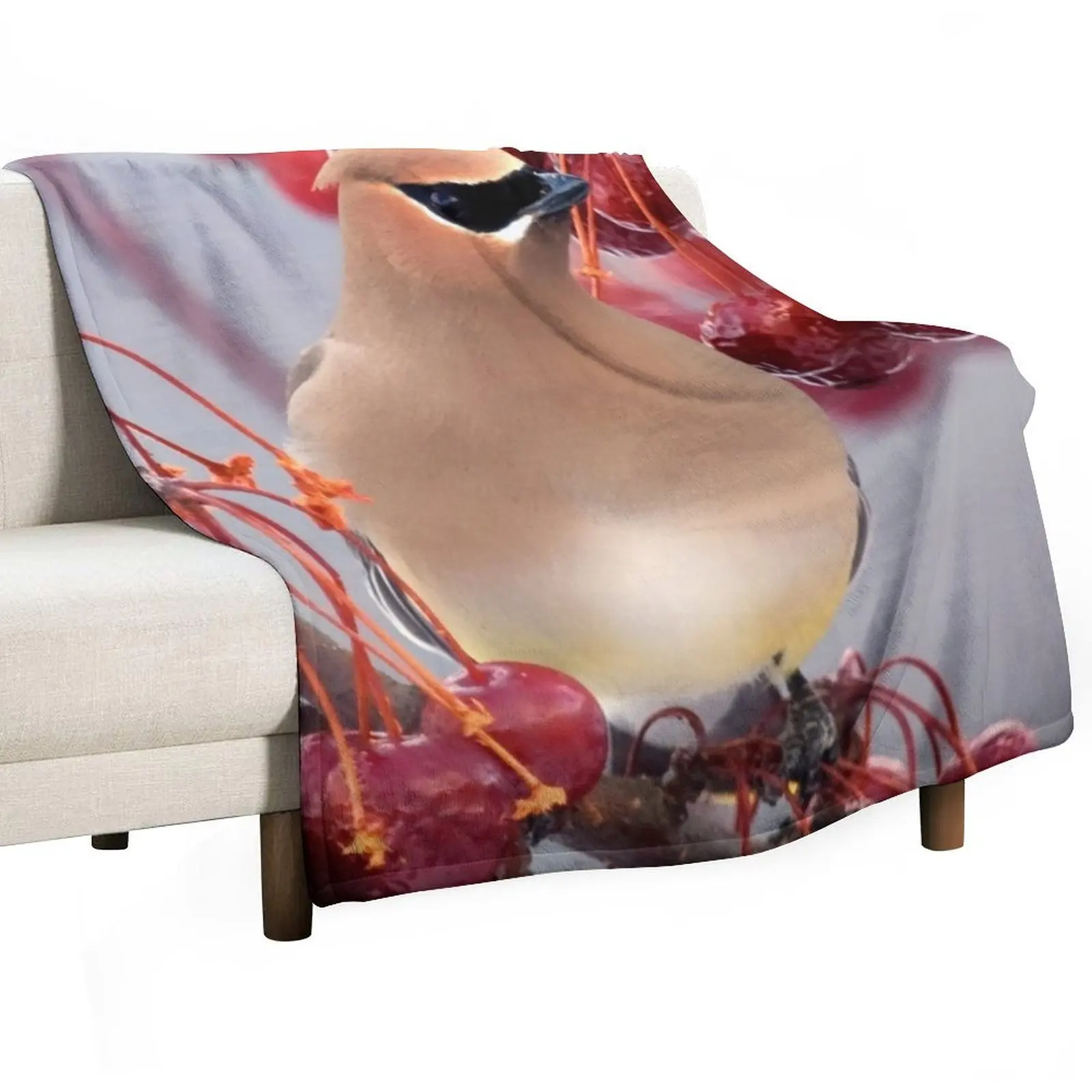 Second Cedar Waxwing Throw Blanket Sofa Throw Shaggy Furry Luxury Designer sofa bed Summer Beddings Blankets