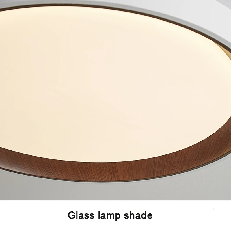 LED Ceiling Lamp Modern Simple Bedroom Study Lighting Balcony Aisle Lustre Light Living Dining room Indoor Home Decor Fixtures