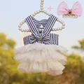 Dress and Clips 3