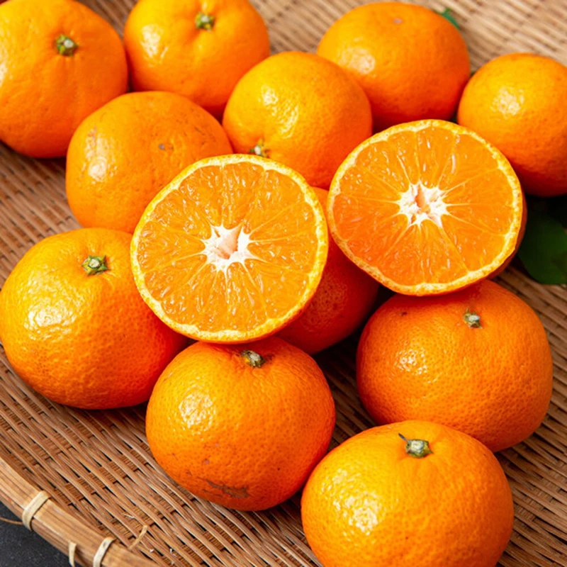 حلو وحامض، جيجو اليوسفي المنعش 4.5 كجم L-2L