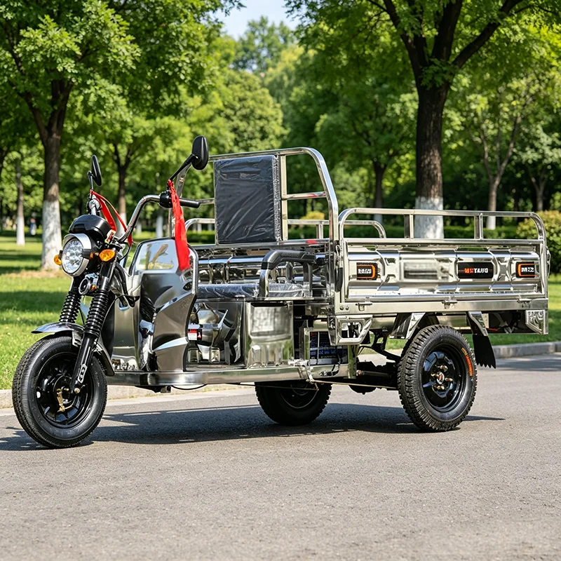 Electric Cargo Tricycle Large Load Capacity 3000W Electric Trike