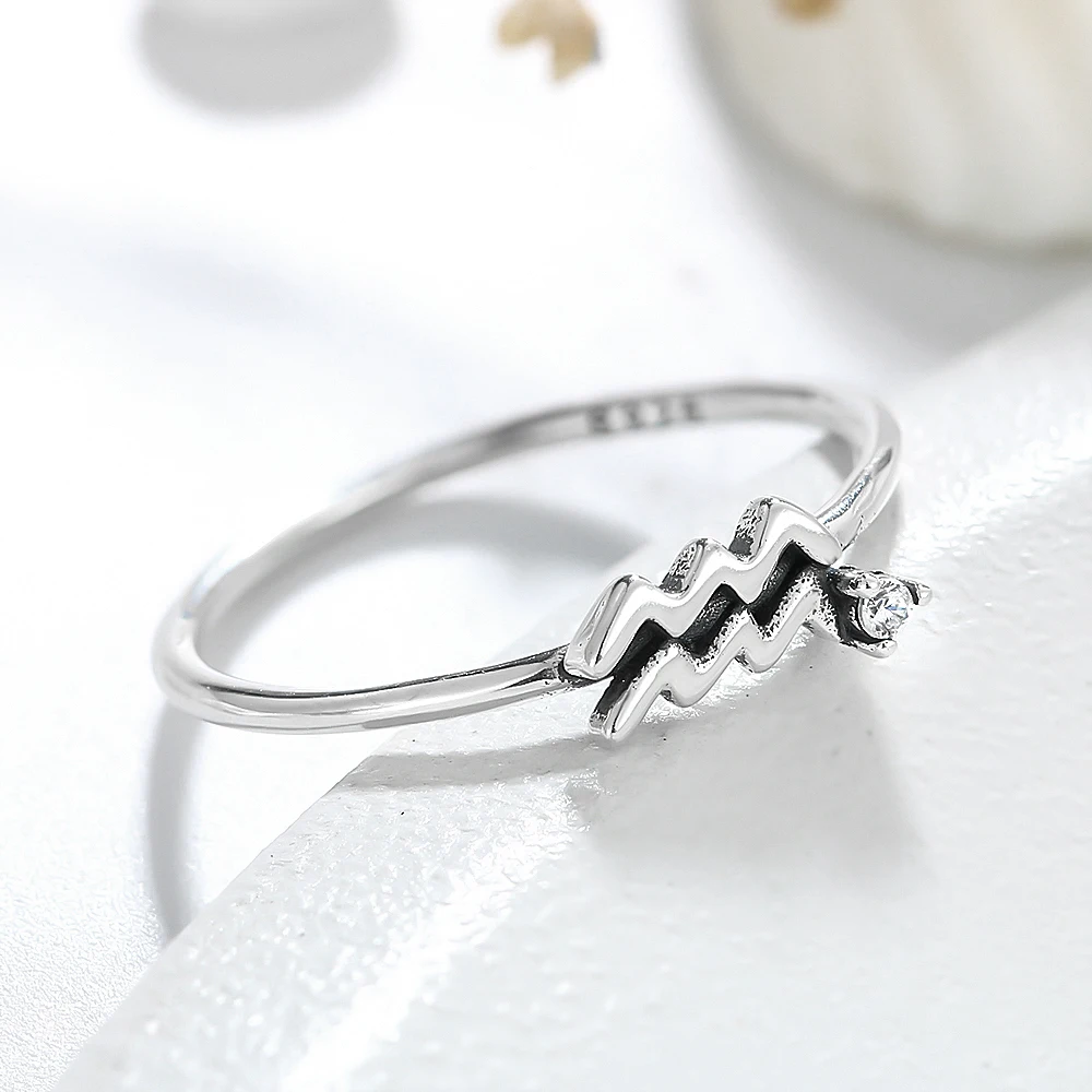 Anillo de signo del zodiaco S925, Acuario, Piscis, Aries, Toro